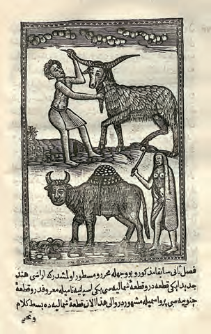 Tarih ül-Hind il-garbi, Konstantinopel,[Ibrahim Müteferrika,] 1730